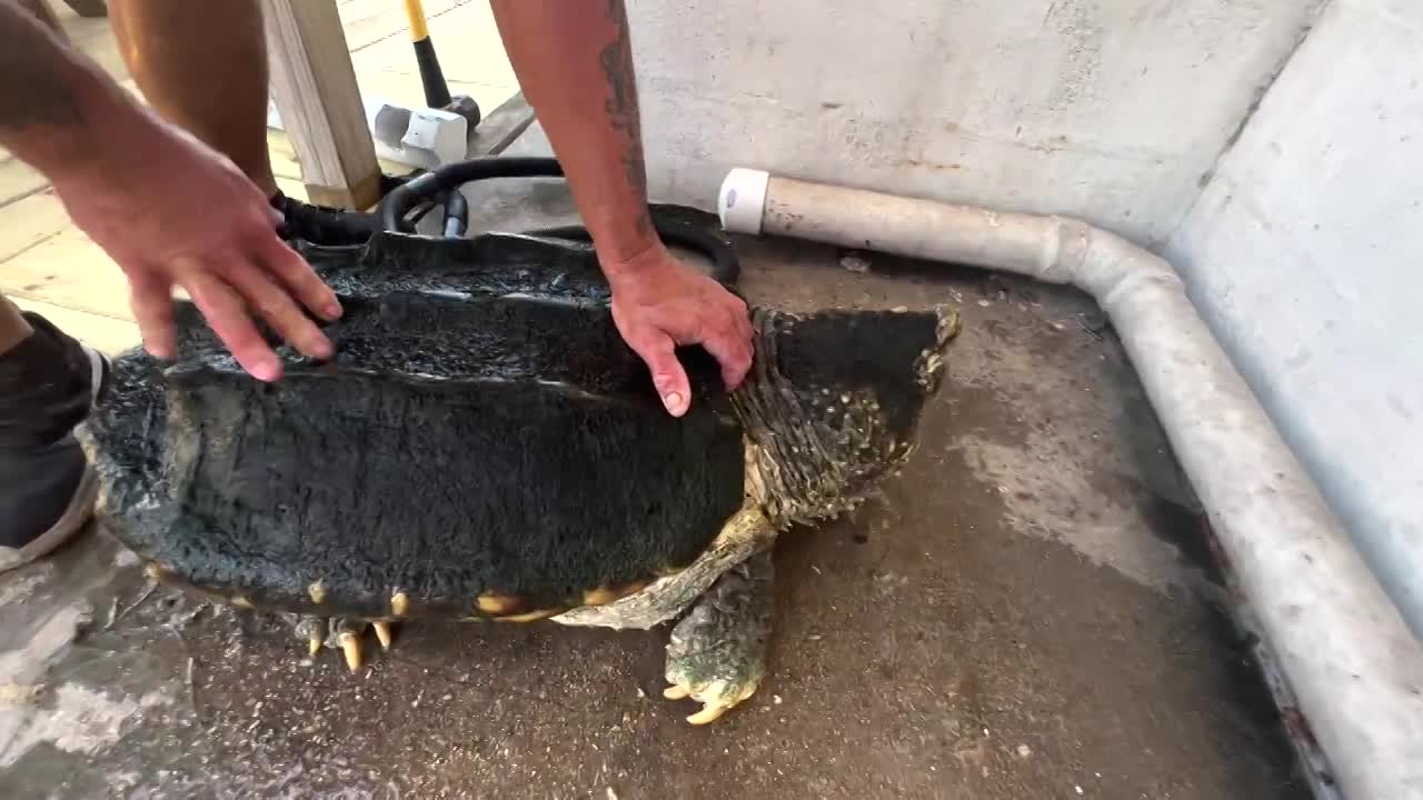 Outside the Levees - Cooking BLUE CRABS on the Louisiana Bayou