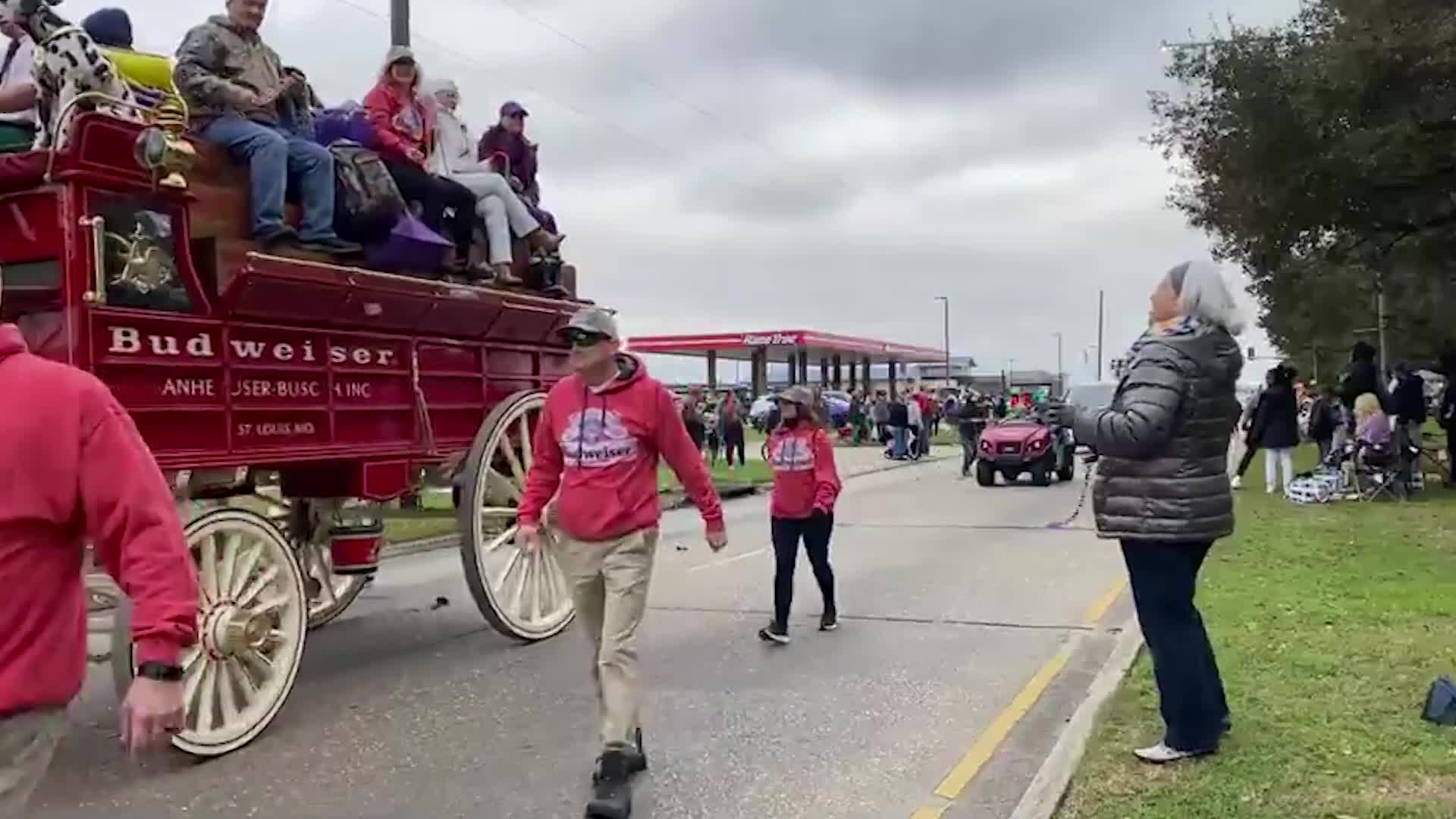 Thumbnail image for Knights of Nemesis Parade 2023