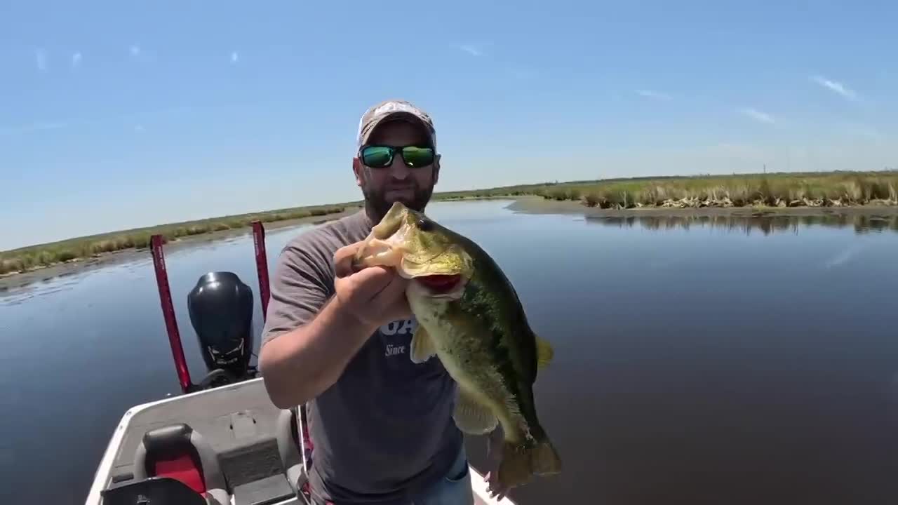 Thumbnail image for Outside the Levees goes bass fishing!